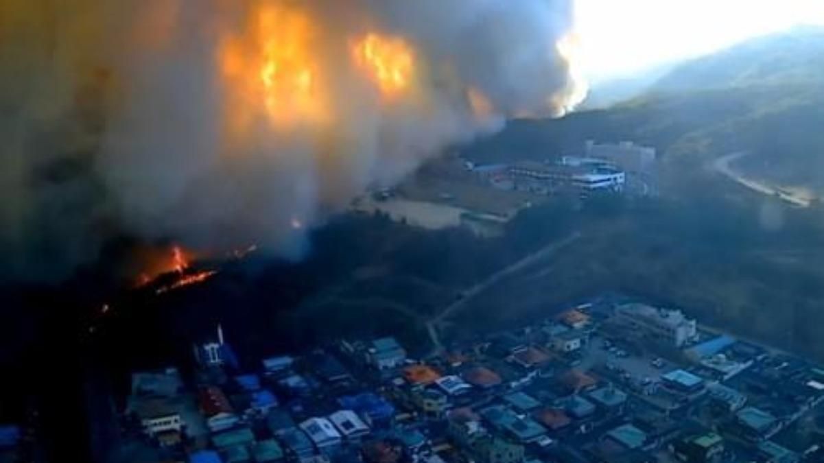 В Южной Корее - масштабные пожары: сгорело более 250 гектаров леса