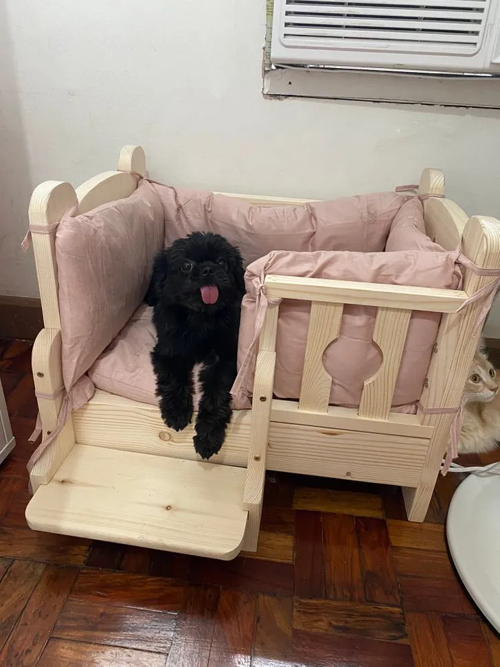 У такому улюбленець відчуватиме себе по-королівськи У такому улюбленець відчуватиме себе по-королівськи