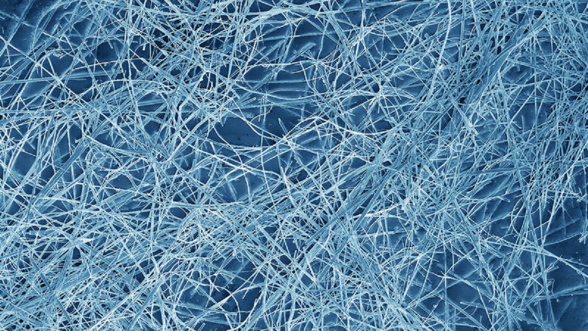 Ученые создали полимерную пленку, которая защищает от электромагнитного излучения Ученые создали полимерную пленку, которая защищает от электромагнитного излучения