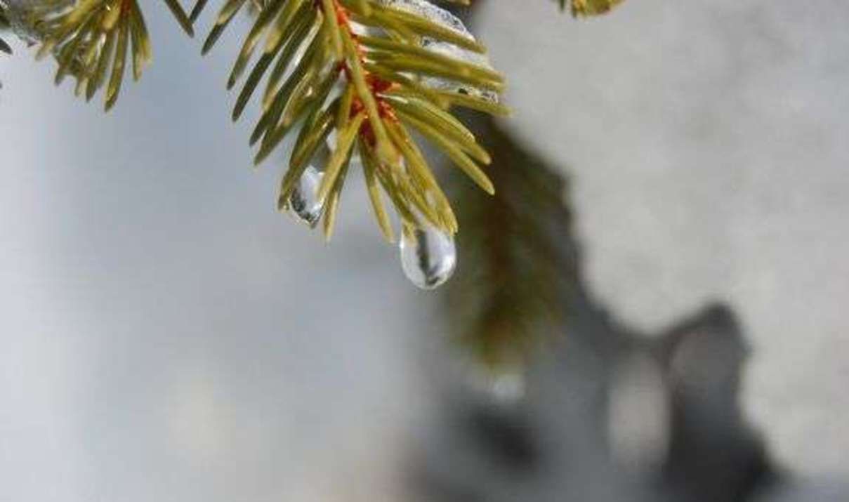 Погода 25 лютого 2021: прогноз від синоптиків України Погода 25 лютого 2021: прогноз від синоптиків України