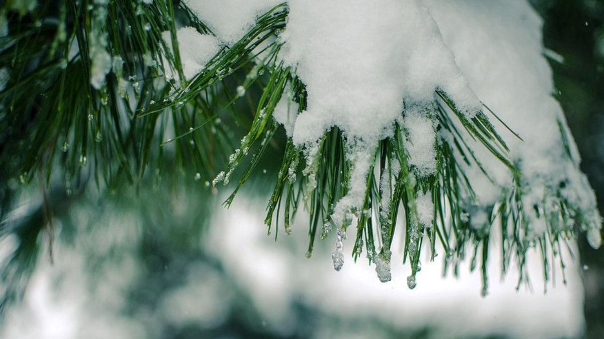 Погода на березень 2021, Україна: коли по справжньому потеплішає Погода на березень 2021, Україна: коли по справжньому потеплішає