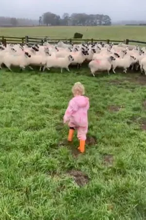 Ізабель обожнює природу і тварин Ізабель обожнює природу і тварин