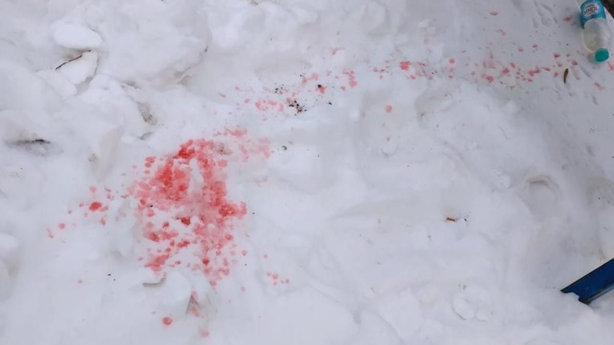 Рожевий сніг у Києві виявився не отрутою