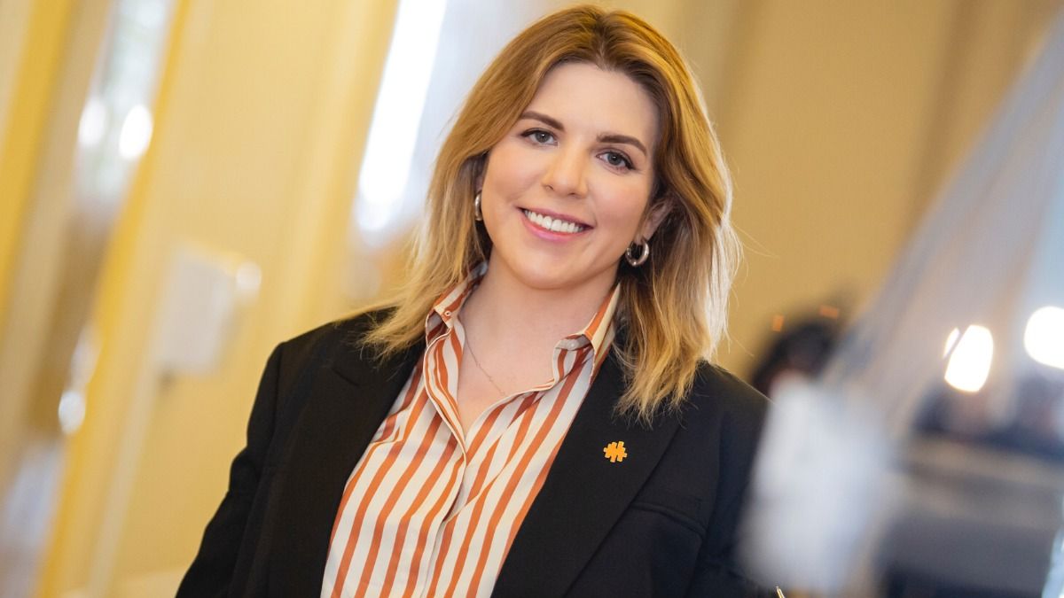 Вероятность досрочных парламентских выборов - менее 50%, - Рудик Вероятность досрочных парламентских выборов - менее 50%, - Рудик