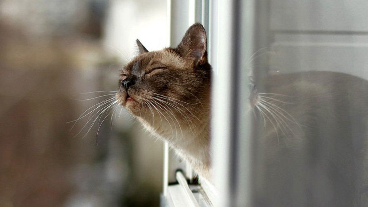 Погода 26 лютого 2021: прогноз від синоптиків України Погода 26 лютого 2021: прогноз від синоптиків України