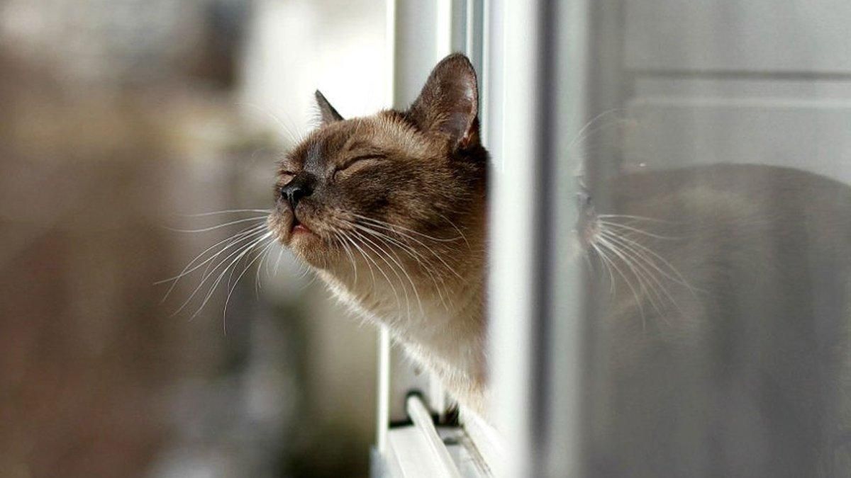 Погода 26 февраля 2021: прогноз от синоптиков Украины Погода 26 февраля 2021: прогноз от синоптиков Украины