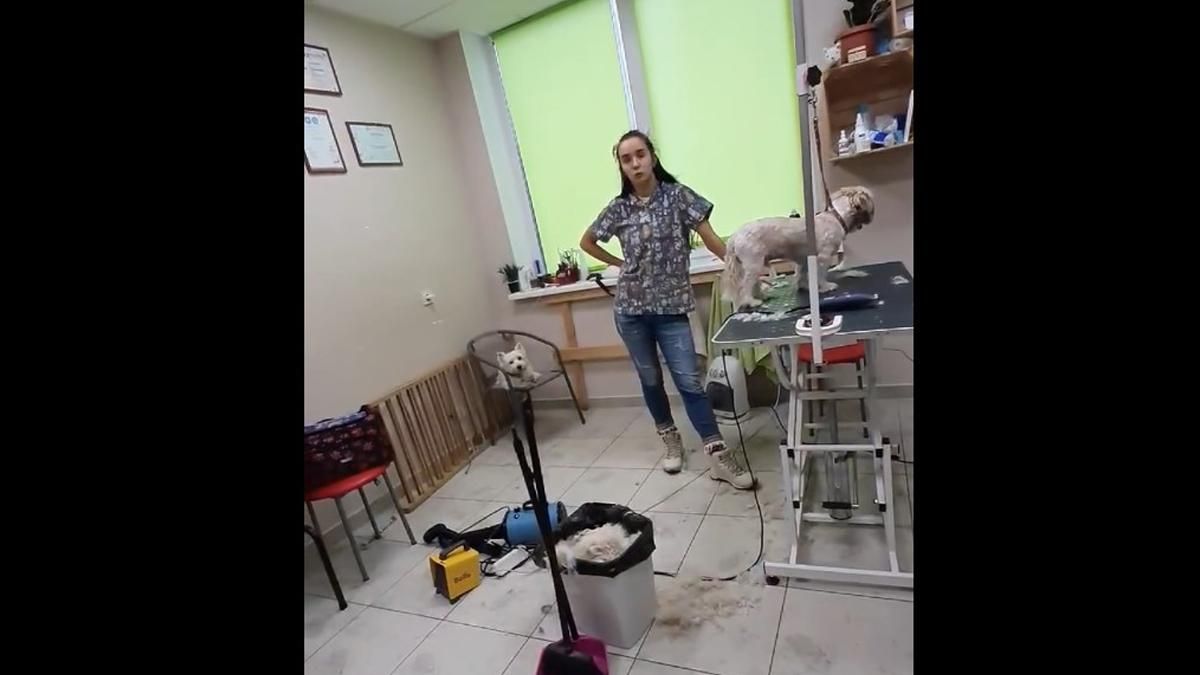 В Киеве в груминг-салоне отказались обслуживать на украинском языке В Киеве в груминг-салоне отказались обслуживать на украинском языке