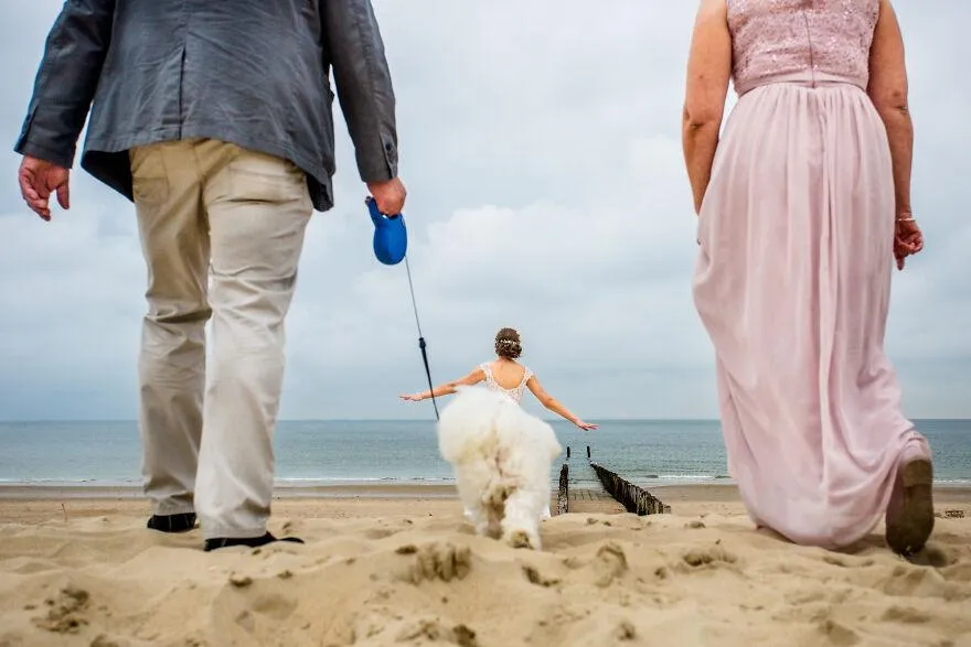 Забавное фото невесты и собачки