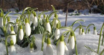 Прогноз погоди на 1 березня: перший день весни буде сонячним та ясним