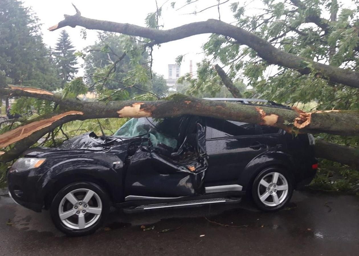У Львові жінка відсудила у Львівської політехніки 73 тисячі гривень за розтрощене деревом авто