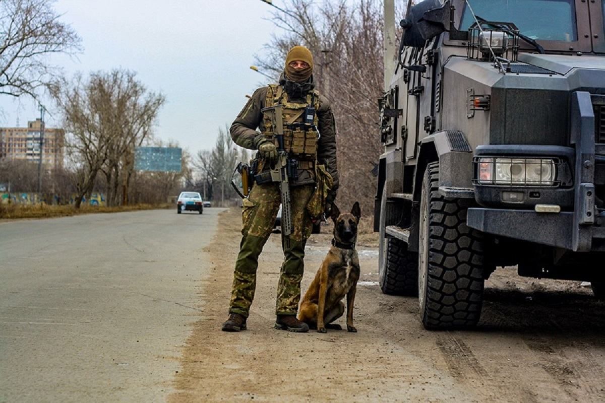 Собака помогла отыскать схрон боеприпасов в Авдеевке: фото