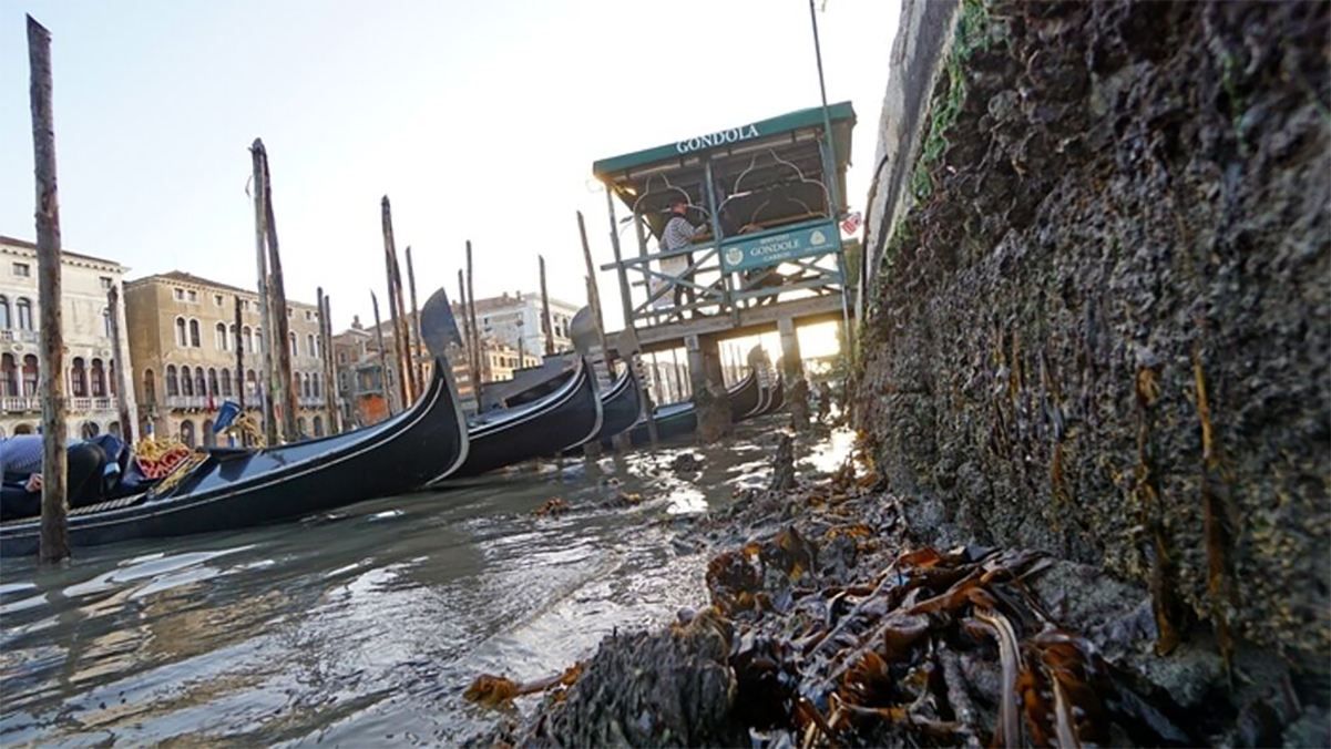 В Венеции в конце февраля 2021 фиксируют низкий уровень воды в каналах: что произошло