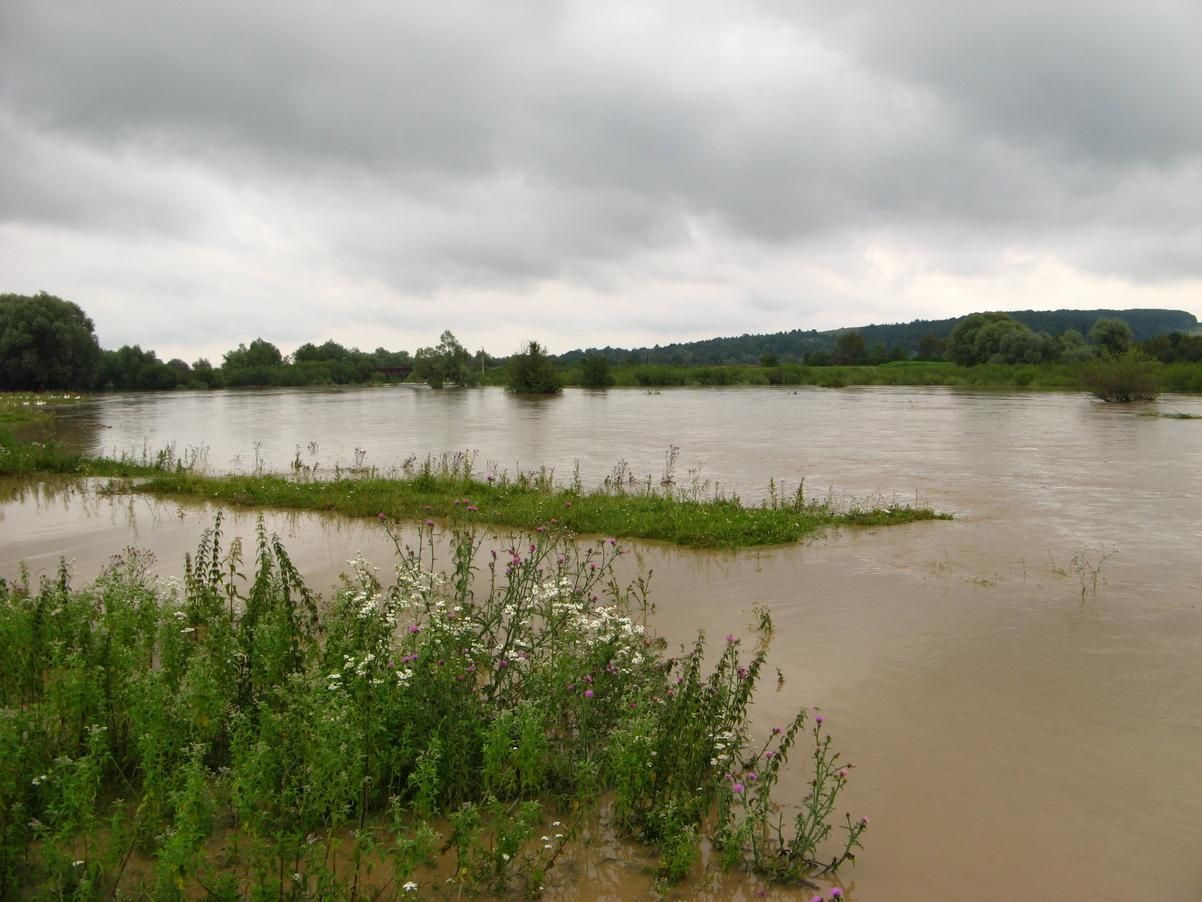Реки обязательно выйдут из берегов: следует готовиться к паводкам Реки обязательно выйдут из берегов: следует готовиться к паводкам