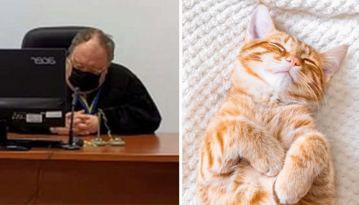 Судья Евстафиев в Чернигове заснул во время заседания: видео Судья Евстафиев в Чернигове заснул во время заседания: видео