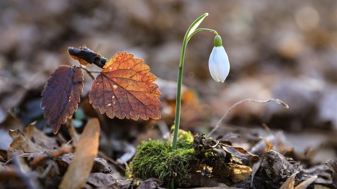 Погода у Києві на тиждень: прогноз синоптиків Погода у Києві на тиждень: прогноз синоптиків