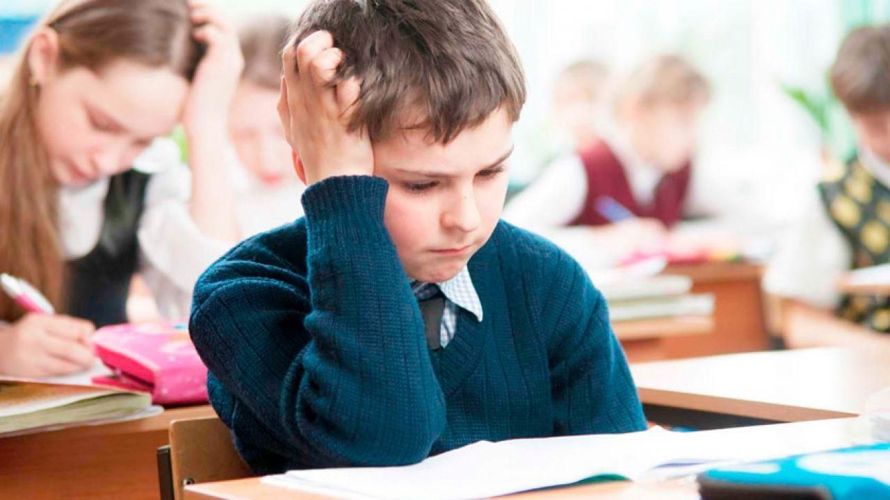 Типова освітня програма шкодить реформі НУШ, – експертка Типова освітня програма шкодить реформі НУШ, – експертка