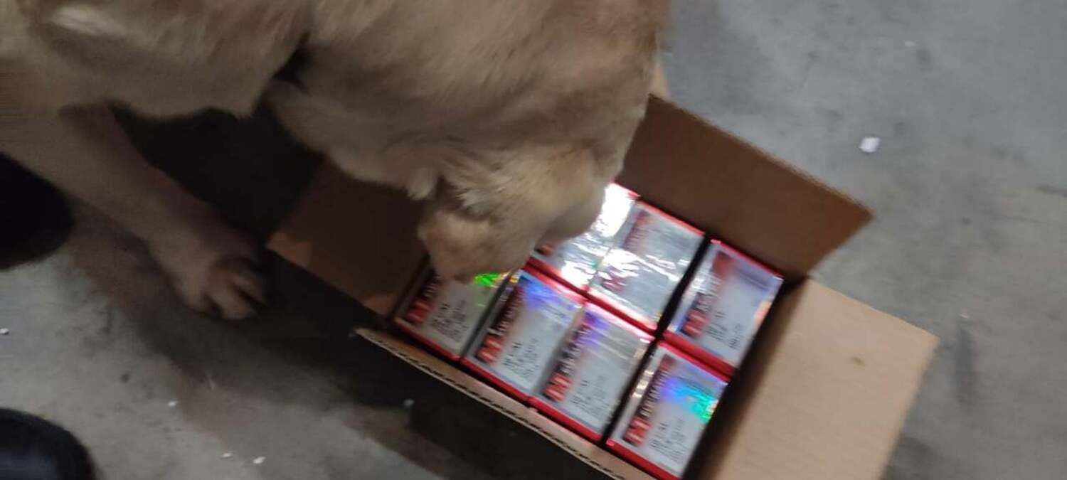 Пули вместо витаминов: таможенники нашли в почтовых отправлениях запрещены товары - фото Пули вместо витаминов: таможенники нашли в почтовых отправлениях запрещены товары - фото