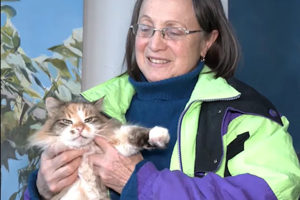 Животное полюбили и сотрудники музея, и посетители Животное полюбили и сотрудники музея, и посетители