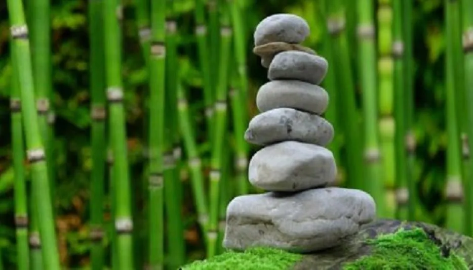 Терпіння Терпіння