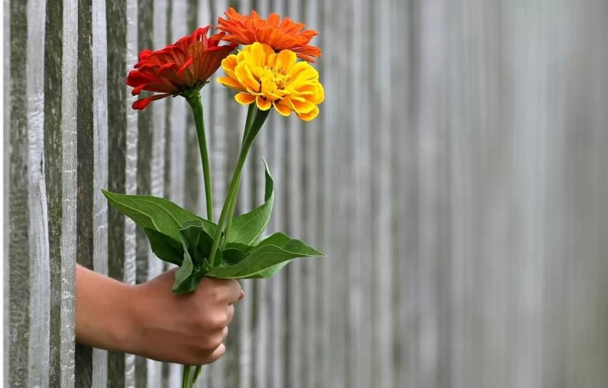 8 березня - 10 важливих порад чоловікам - Новини 8 березня - 10 важливих порад чоловікам - Новини