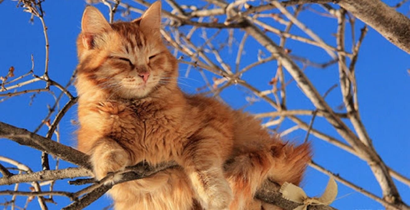 Погода 3 березня 2021: прогноз від синоптиків України Погода 3 березня 2021: прогноз від синоптиків України