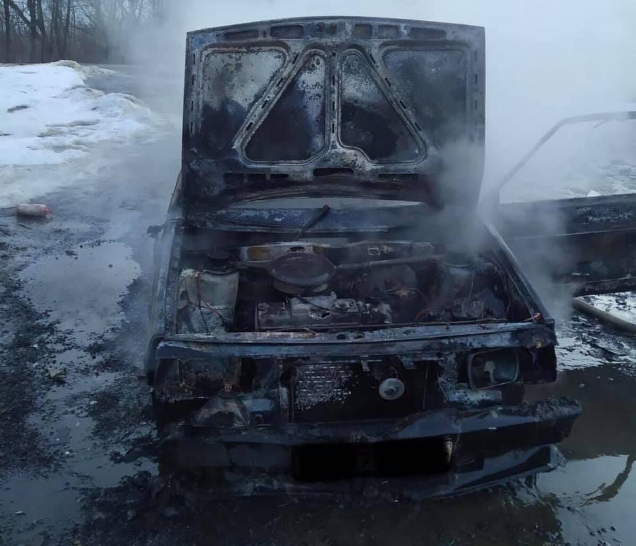 На Львовщине посреди дороги дотла сгорел автомобиль: фото 