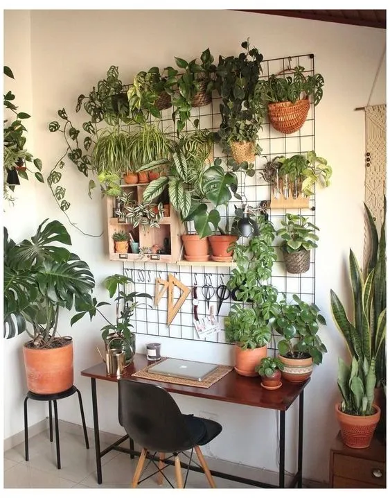 Зелень як прикраса / Фото Pinterest  Зелень як прикраса / Фото Pinterest