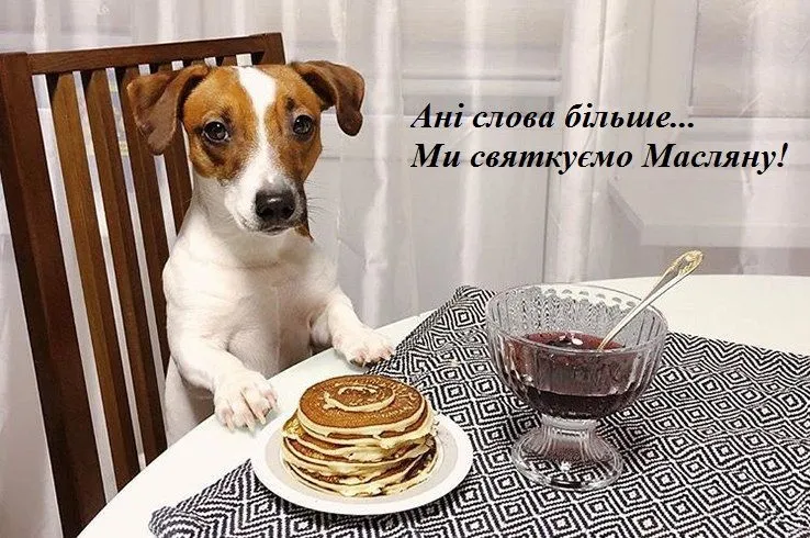 Веселі картинки-привітання з Масляною Веселі картинки-привітання з Масляною