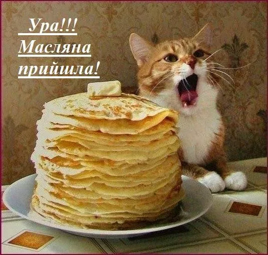 Прикольні привітання з Масляною Прикольні привітання з Масляною