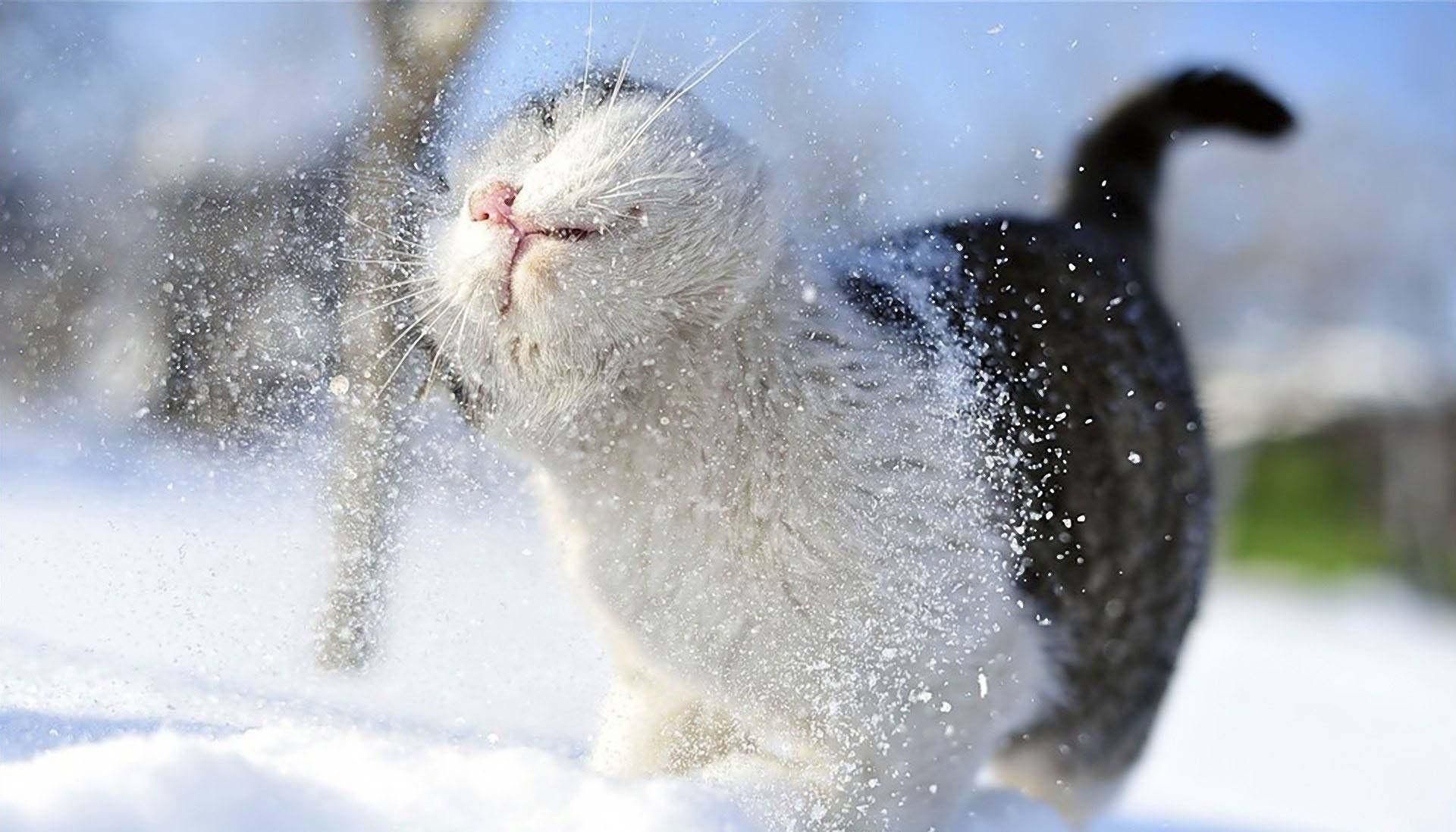 Прогноз погоди у Львові та області на 5 березня 2021: на Львівщину знову прийшли хуртовини Прогноз погоди у Львові та області на 5 березня 2021: на Львівщину знову прийшли хуртовини