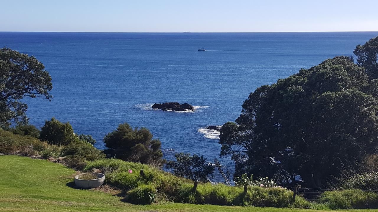 Землетрус в Новій Зеландії 4 березня 2021: є загроза цунамі Землетрус в Новій Зеландії 4 березня 2021: є загроза цунамі