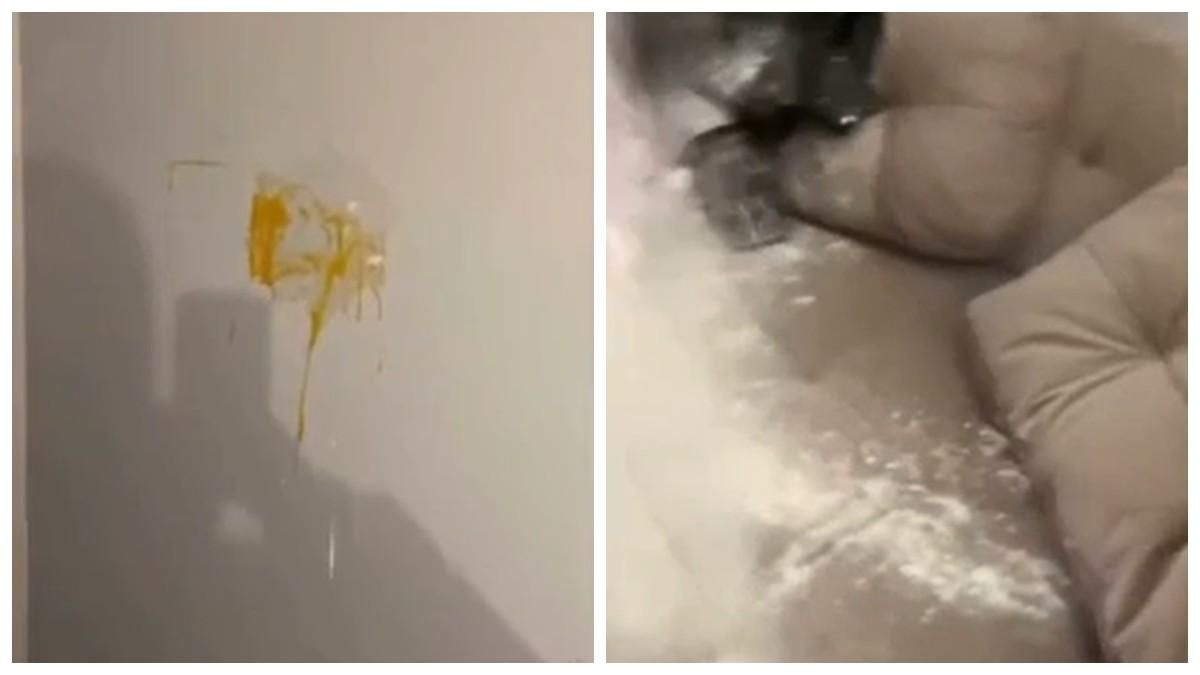 Блогерка з Києва влаштувала треш на орендованій квартирі Блогерка з Києва влаштувала треш на орендованій квартирі