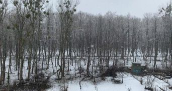 Зима повернулась: Львів знову засипало снігом – фото