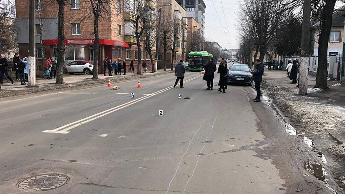 В Житомире водитель на переходе сбил насмерть женщину и 2 собаки