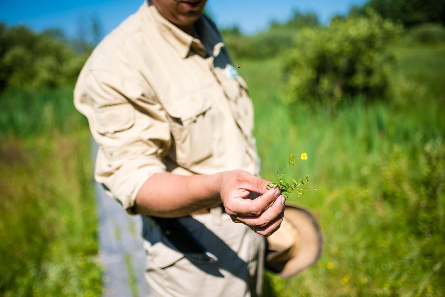 Кто занимается Междуреченским парком в Украине: видео Кто занимается Междуреченским парком в Украине: видео