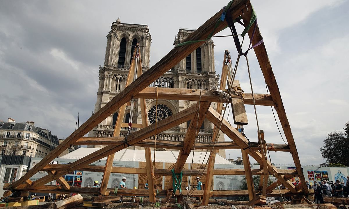 100-річні дуби зрубають для реконструкції собору Нотр-Дам