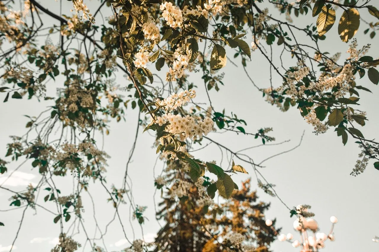 що не можна робити 10 березня що не можна робити 10 березня