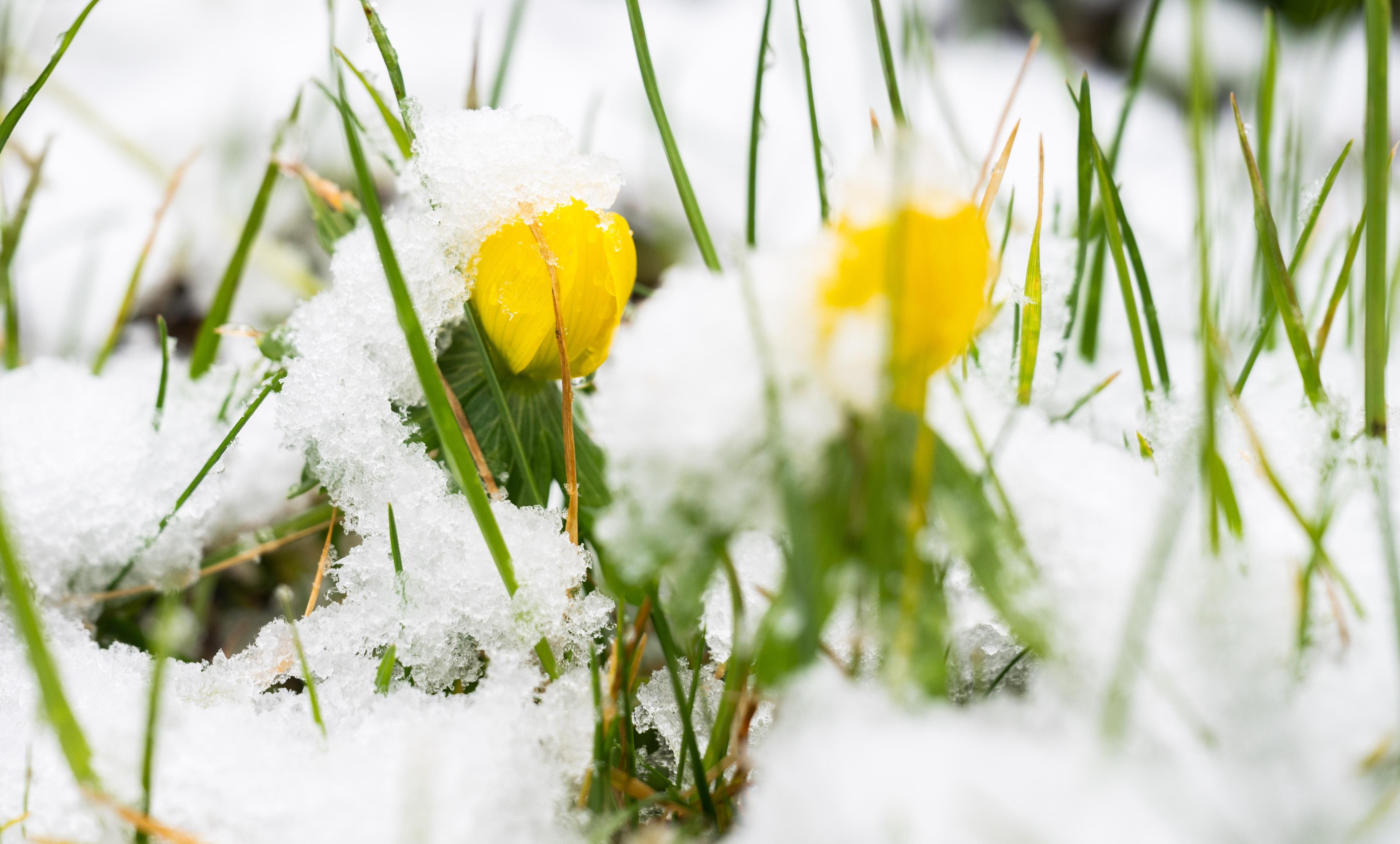 Нічні морози і сніг: синоптики обіцяють в Україні різке похолодання Нічні морози і сніг: синоптики обіцяють в Україні різке похолодання