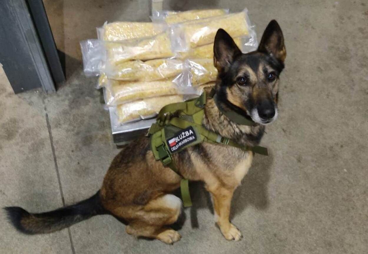 Изъяли 30 килограммов янтаря: польские таможенники задержали 2 украинцев - фото Изъяли 30 килограммов янтаря: польские таможенники задержали 2 украинцев - фото