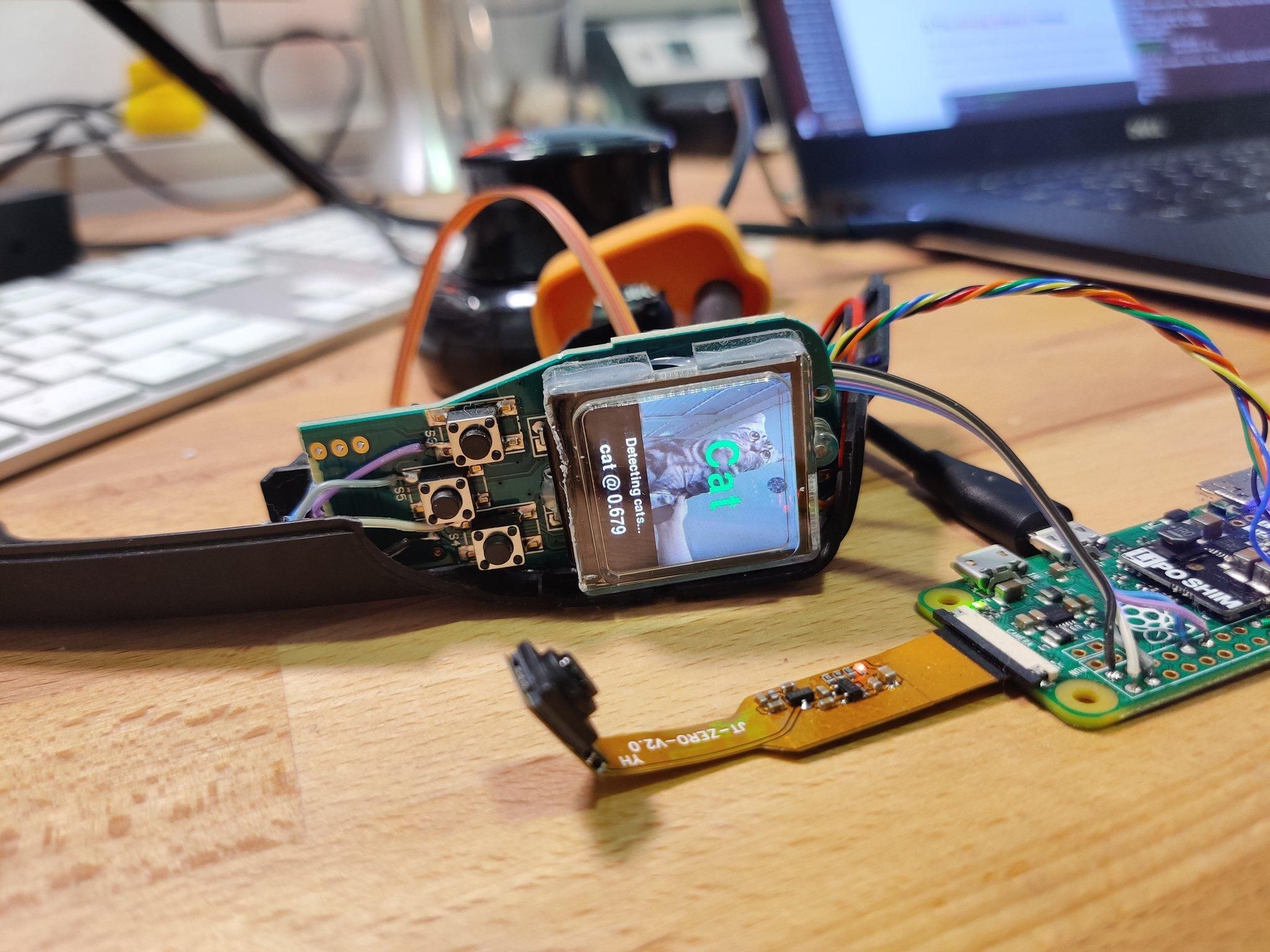 Ентузіаст зібрав детектор кота на базі Raspberry Pi Zero Ентузіаст зібрав детектор кота на базі Raspberry Pi Zero