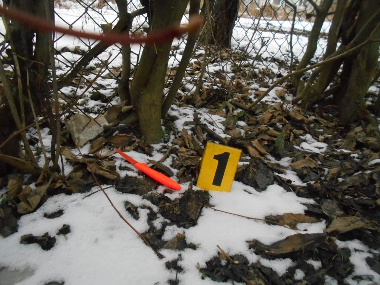 Едва не зарезал: в одном из сел Львовщины мужчина ударил соседку ножом в живот - фото Едва не зарезал: в одном из сел Львовщины мужчина ударил соседку ножом в живот - фото