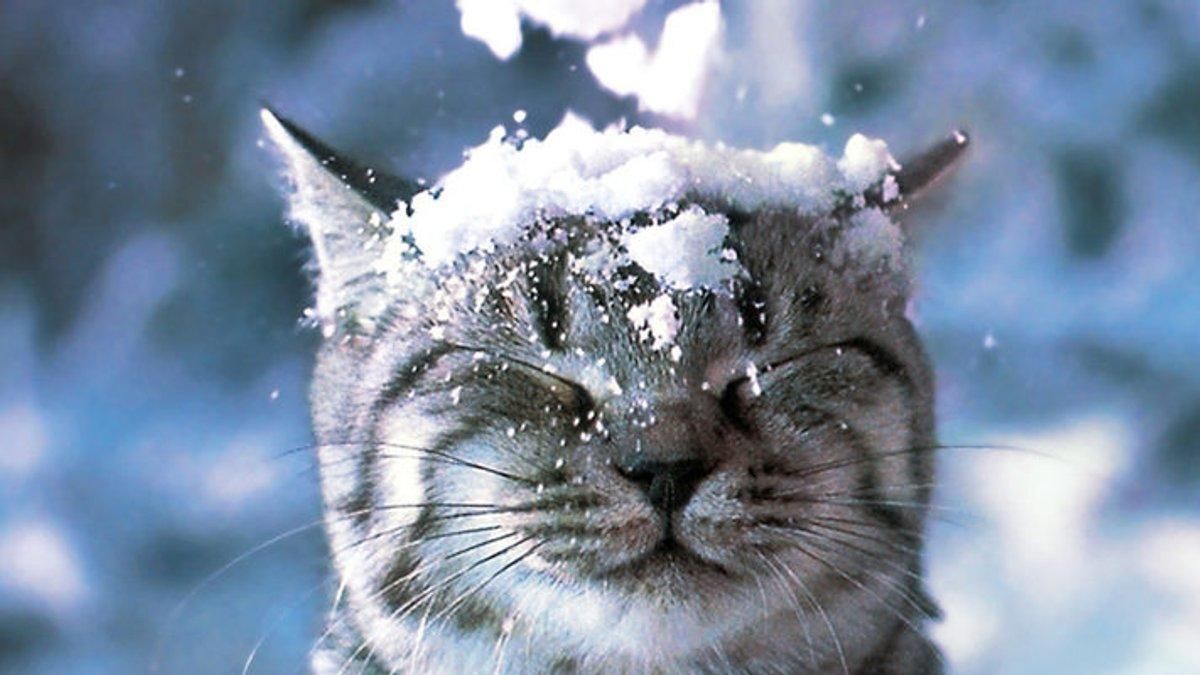 Прогноз погоды во Львове и области на 11 марта: на Львовщине снова будет идти снег Прогноз погоды во Львове и области на 11 марта: на Львовщине снова будет идти снег