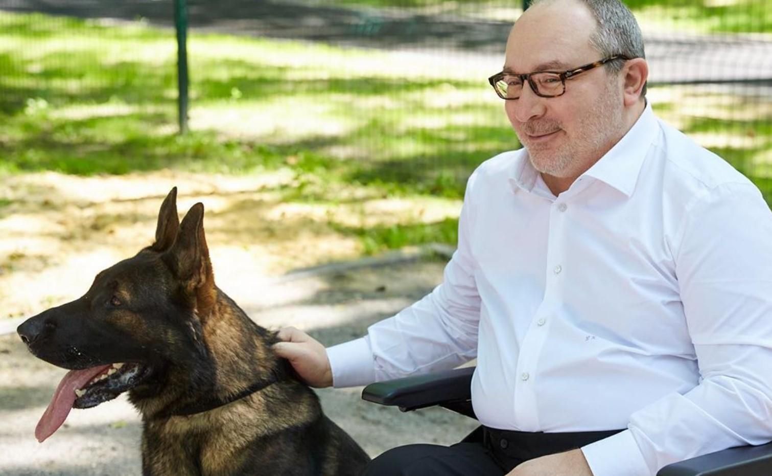 В Харькове проведут выставку собак, посвященную памяти Кернеса