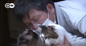 Самый одинокий человек в мире: японец живет в Фукусиме, чтобы заботиться о брошенных кошках