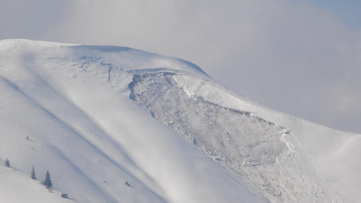 В Карпатах сошла мощная снежная лавина: впечатляющие фото