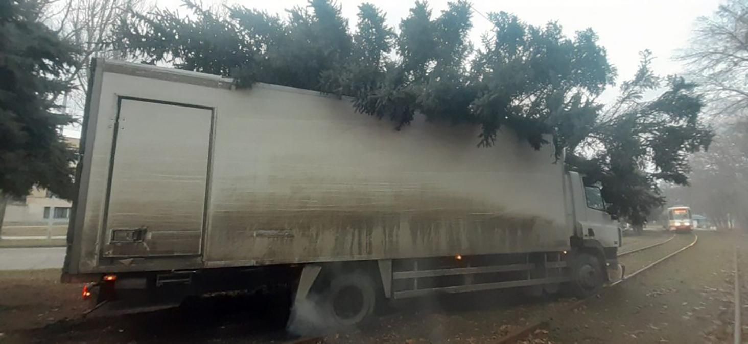 У Запоріжжі вантажівка знесла дерево, через епілепсію водія: фото