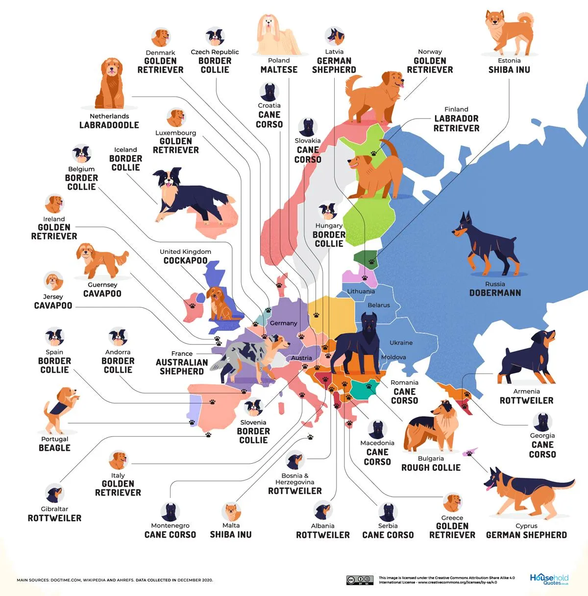 Самые популярные породы собак в Европе
