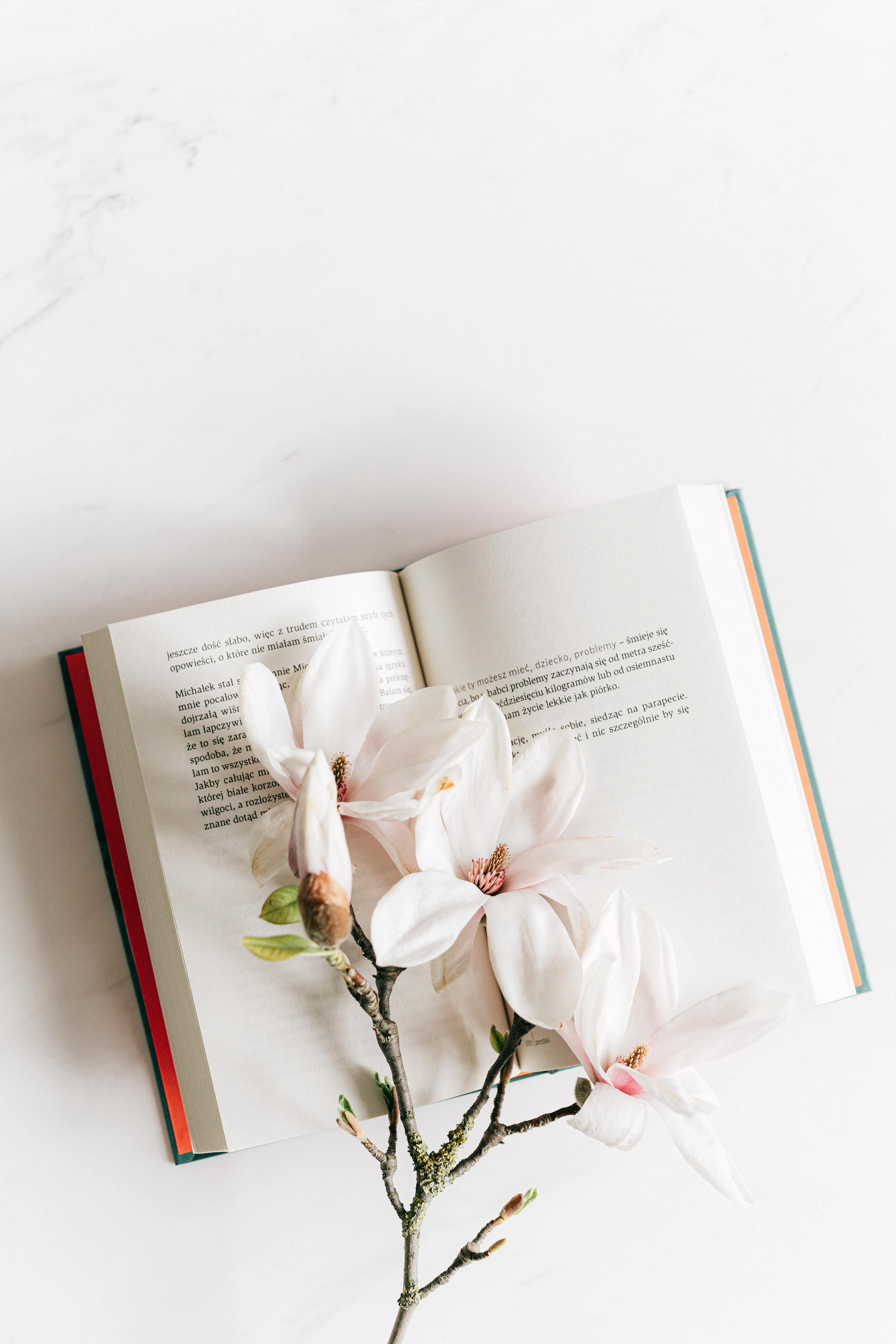 День поезії 2021: 10 віршів про весну День поезії 2021: 10 віршів про весну