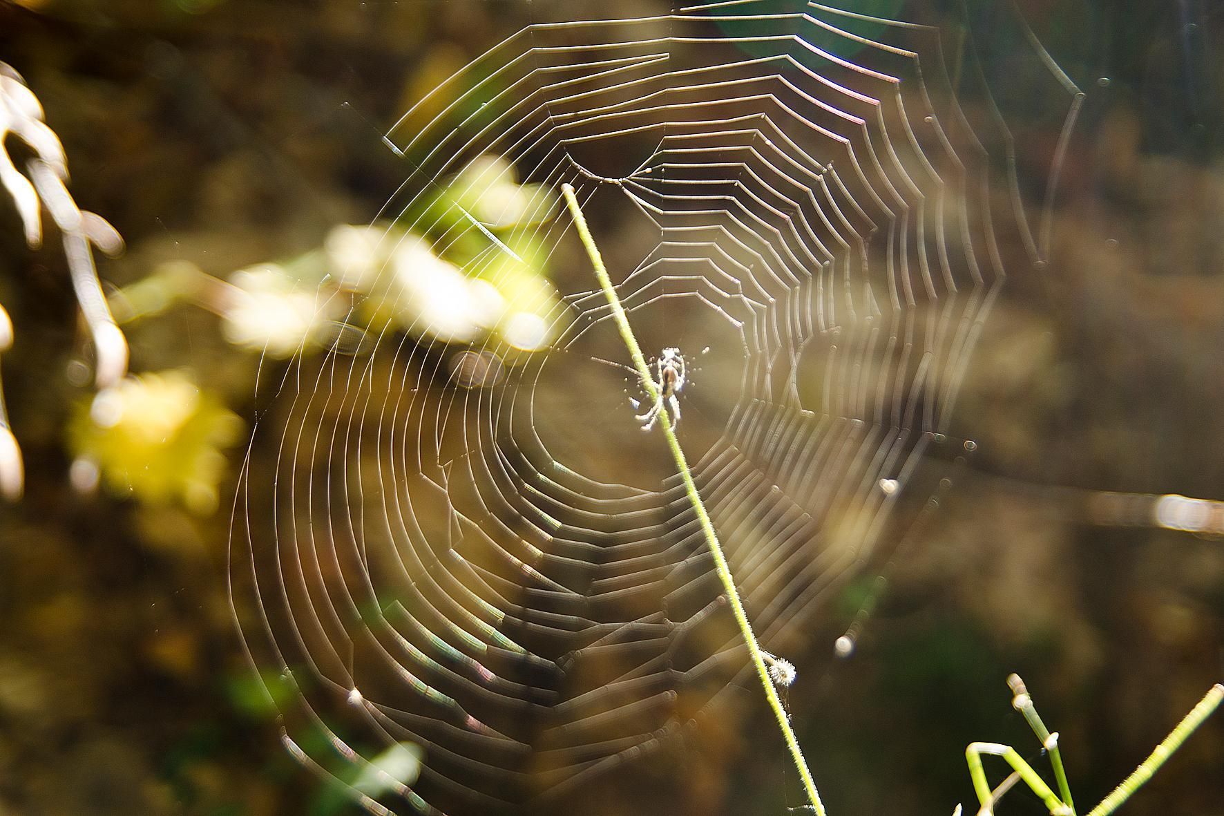 Погода 21 березня 2021: прогноз від синоптиків України Погода 21 березня 2021: прогноз від синоптиків України