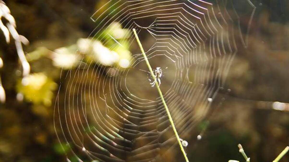 Погода 21 марта 2021: прогноз от синоптиков Украины Погода 21 марта 2021: прогноз от синоптиков Украины